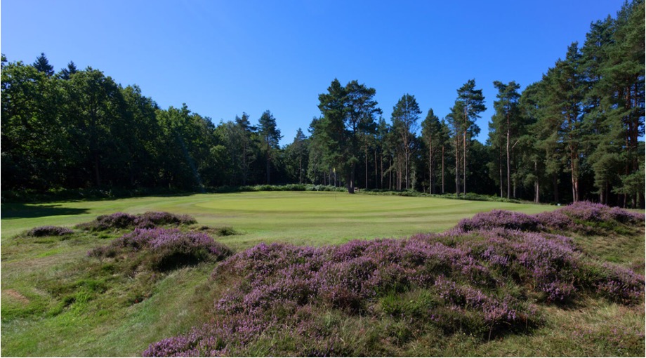 Photo of Royal Ashdown Forest Golf Club